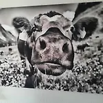 Eisler Апартаменты *